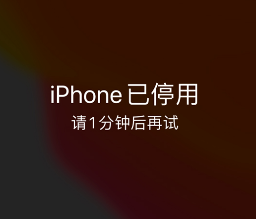 兴安苹果手机维修分享:iPhone 显示“不可用”或“已停用”怎么办？还能保留数据吗？ 