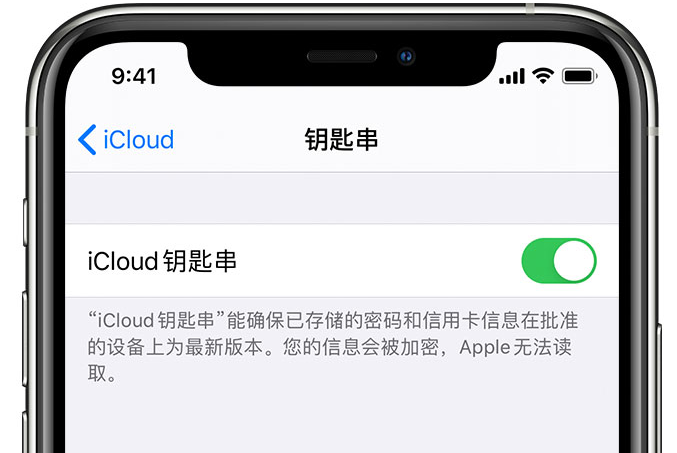 兴安苹果手机维修分享在 iPhone 上开启 iCloud 钥匙串之后会储存哪些信息 