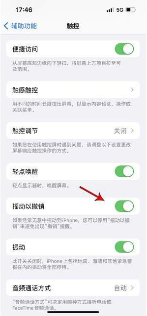 兴安苹果手机维修分享iPhone手机如何设置摇一摇删除文字 