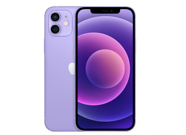 兴安苹果手机维修分享现阶段要不要入手紫色版iPhone12 